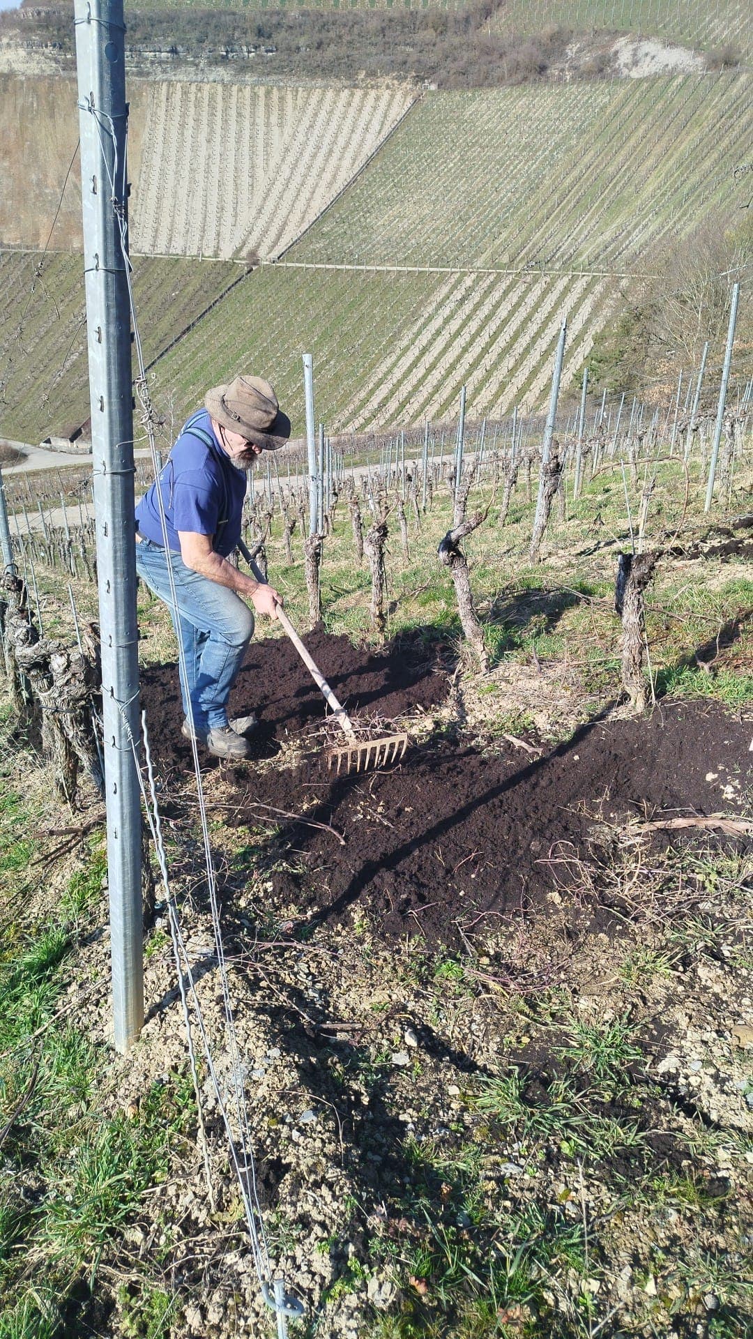 Otto Dürbeck bei der Bodenarbeit in seinem fränkischen Weinberg